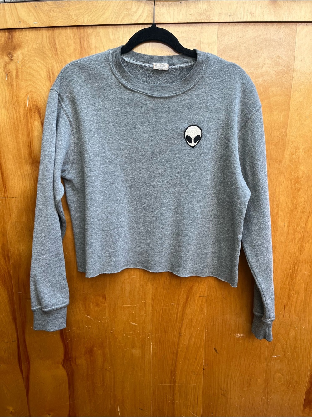 Brandy Melville Heather Gray Cropped Crewneck with Alien Patch